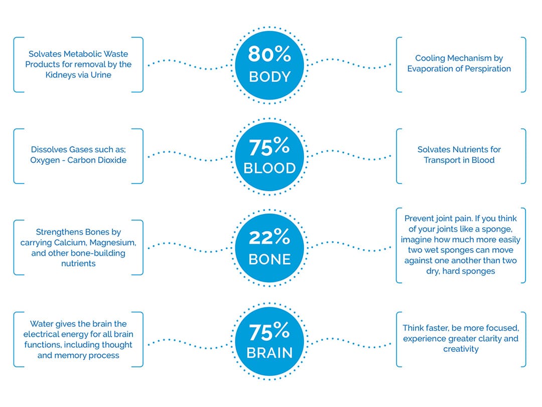 water-in-body-percentages